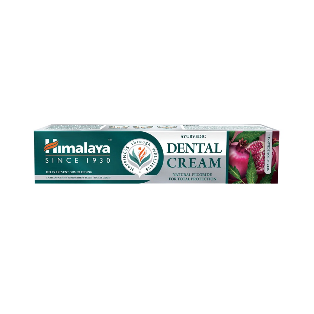 HIMALAYA AYURVEDIC DENTAL CREAM WITH NATURAL FLUORIDE - 100 GRAMS
