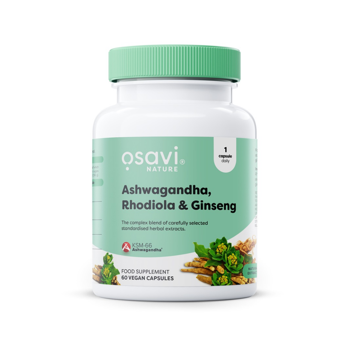 OSAVI ASHWAGANDHA + RHODIOLA & GINSENG - 60 VEGAN CAPS