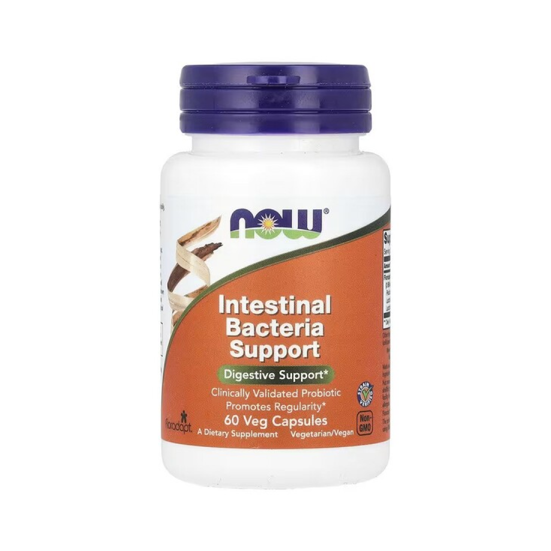 NOW FOODS INTESTINAL BACTERIA SUPPORT - 60 VCAPS