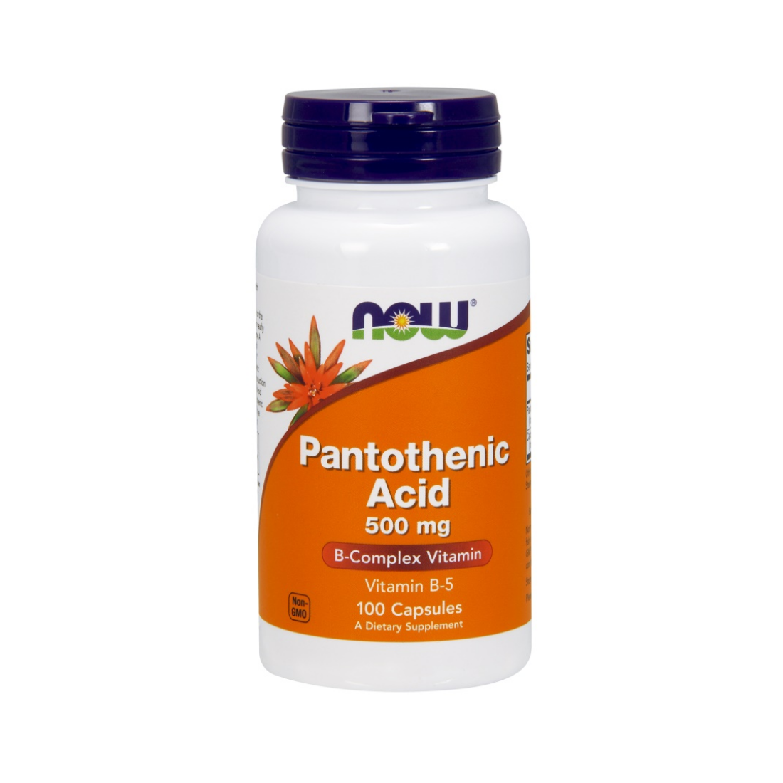 NOW FOODS PANTOTHENIC ACID 500MG - 100 CAPS