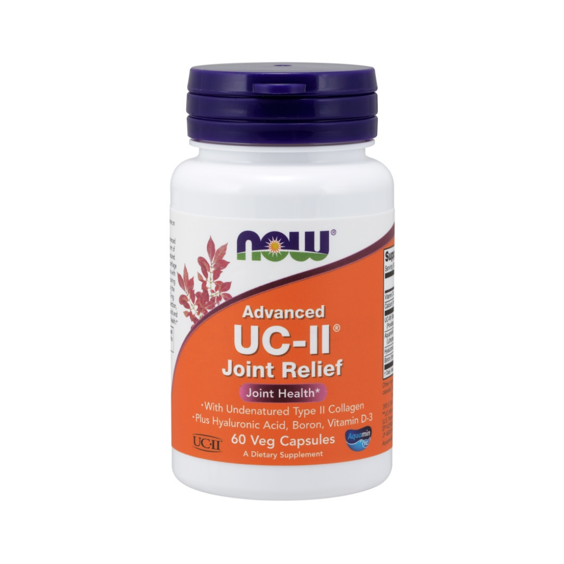 NOW FOODS UC-II ADVANCED JOINT RELIEF - 60 VCAPS