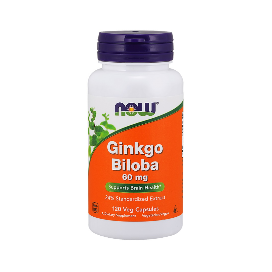 NOW FOODS GINKGO BILOBA 60MG - 120 VCAPS