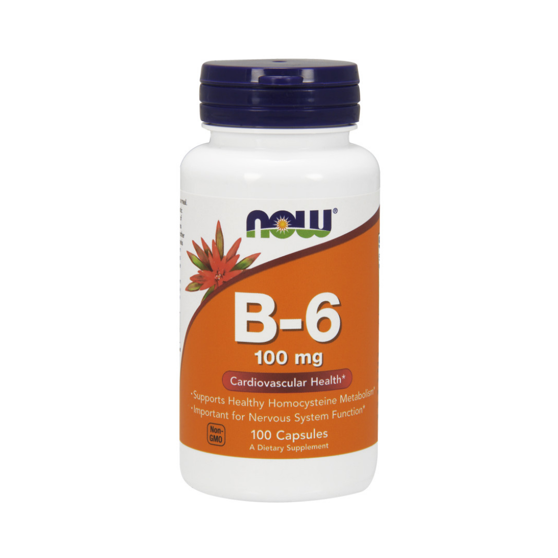 NOW FOODS VITAMIN B-6 100MG - 100 CAPS