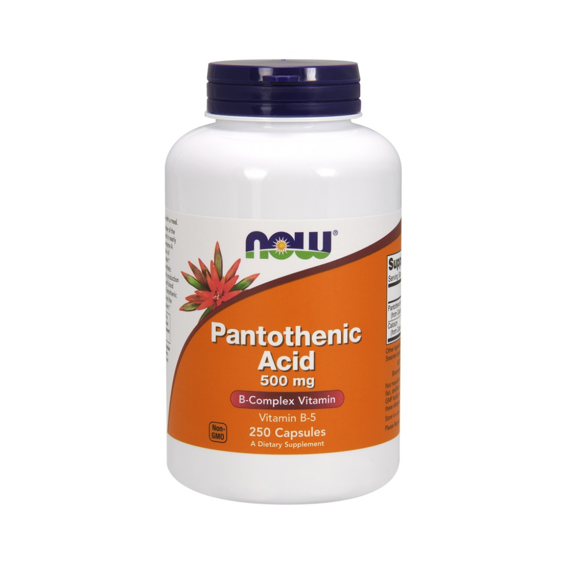 NOW FOODS PANTOTHENIC ACID 500MG - 250 CAPS